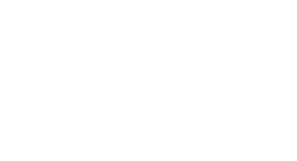 logo AV 21